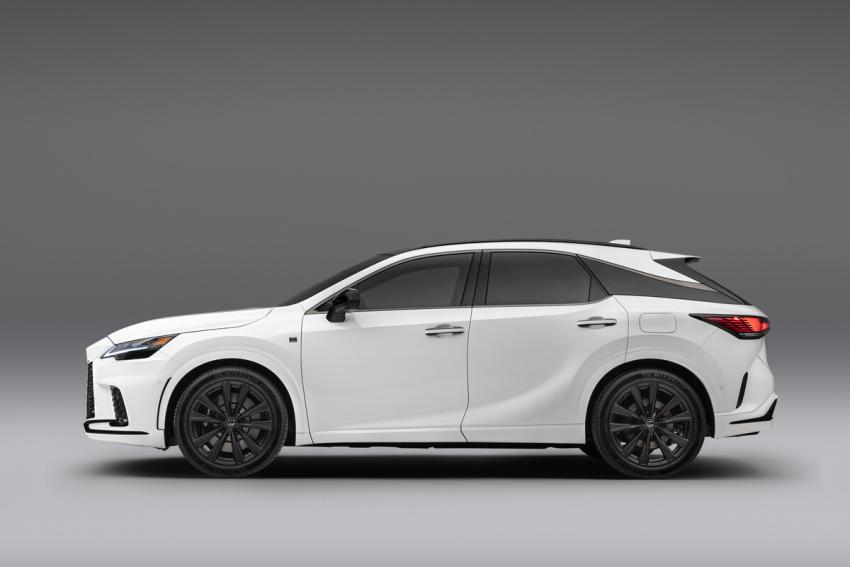 Lexus RX Seitenansicht