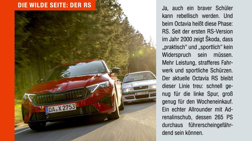Kasten "Die wilde Seite: der RS"