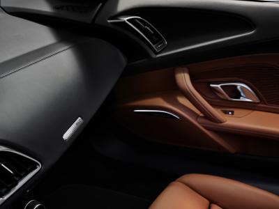 Audi R8 V10 performance RWD Spyder Detail Türtafel und Armaturenbrett