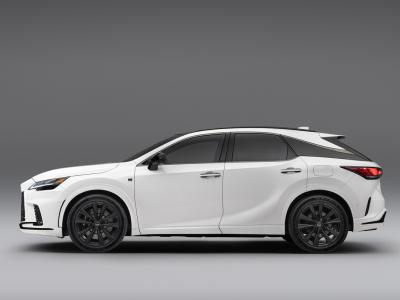 Lexus RX Seitenansicht
